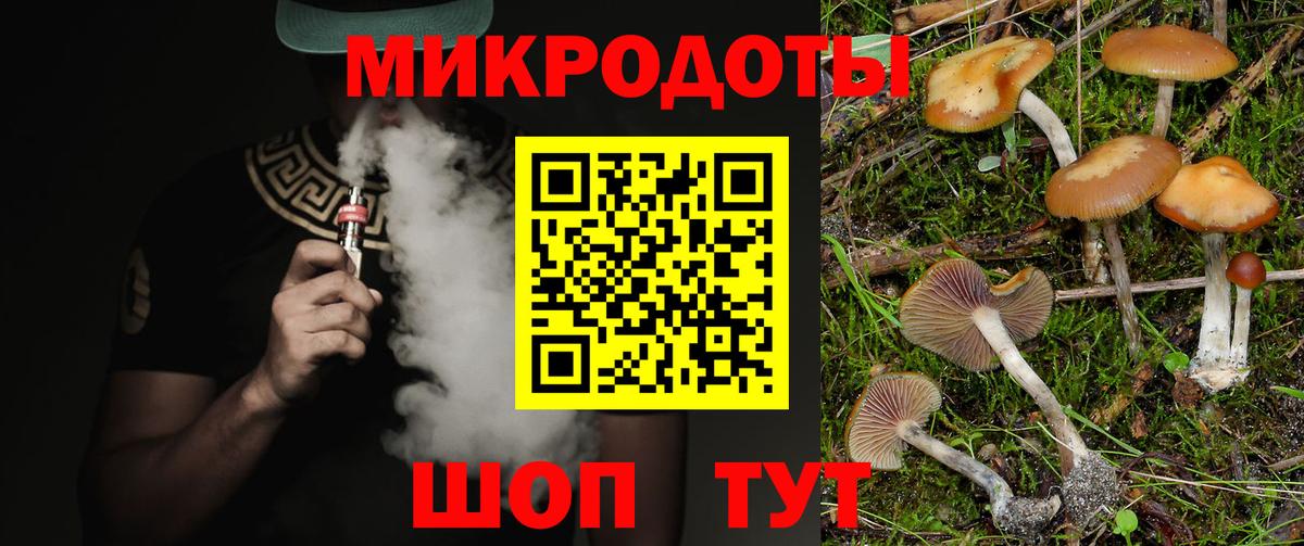 Галлюциногенные грибы прущие грибы Волхов