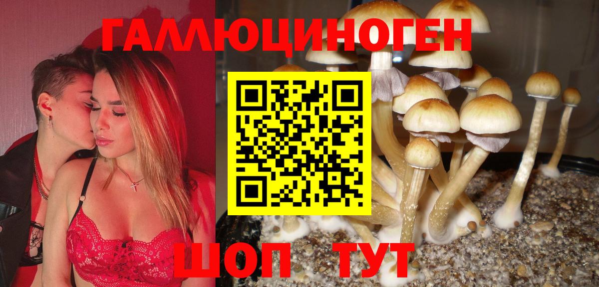 Волхов  Галлюциногенные грибы мухоморы  Вход с VPN 